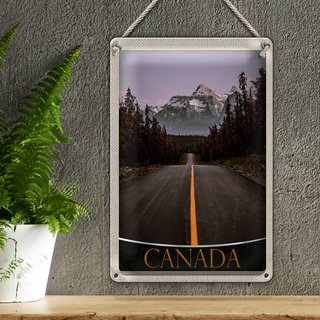 Blechschild Reise 20x30cm California Amerika USA Wald Gebirge