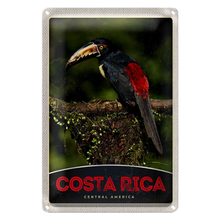 Blechschild Reise 20x30cm Costa Rica Central America Vogel Natur