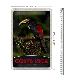 Blechschild Reise 20x30cm Costa Rica Central America Vogel Natur