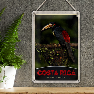 Blechschild Reise 20x30cm Costa Rica Central America Vogel Natur