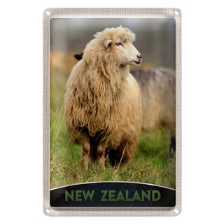 Blechschild Reise 20x30cm Neuseeland Europa Schaf Wiese Natur