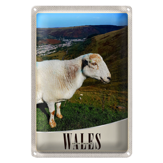 Blechschild Reise 20x30cm Wales United Kingdom Schaf Wiese Natur