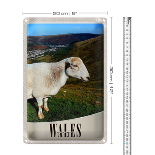 Blechschild Reise 20x30cm Wales United Kingdom Schaf Wiese Natur