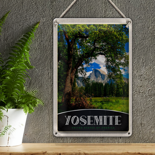 Blechschild Reise 20x30cm Yosemite Amerika Natur Bäume Gebirge