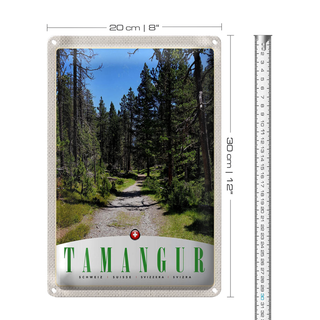 Blechschild Reise 20x30cm Tamangur Schweiz Natur Wald Bäume