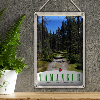 Blechschild Reise 20x30cm Tamangur Schweiz Natur Wald Bäume