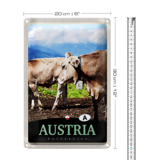 Blechschild Reise 20x30cm Österreich Tiere Weide Natur Gebirge