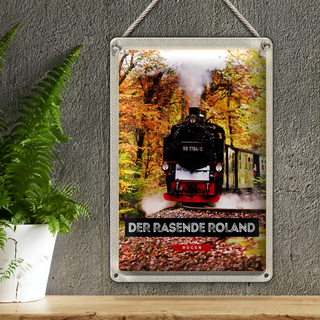 Blechschild Reise 20x30cm Rügen der rasende Roland Lokomotive
