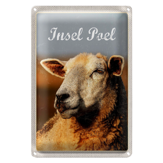 Blechschild Reise 20x30cm Insel Poel Urlaub Schaf Natur Weide