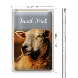 Blechschild Reise 20x30cm Insel Poel Urlaub Schaf Natur Weide