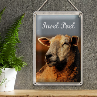 Blechschild Reise 20x30cm Insel Poel Urlaub Schaf Natur Weide