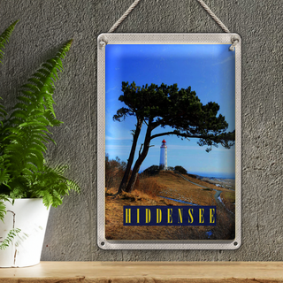 Blechschild Reise 20x30cm Hiddensee Leuchtturm Baum Weide Wiese