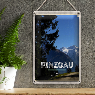 Blechschild Reise 20x30cm Pinzgau Wälder Natur Wanderung Berge