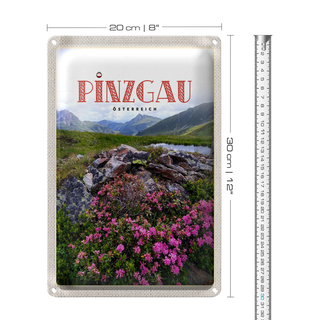 Blechschild Reise 20x30cm Pinzgau Österreich Blumen Natur Berge