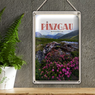 Blechschild Reise 20x30cm Pinzgau Österreich Blumen Natur Berge