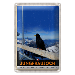 Blechschild Reise 20x30cm Jungfraujoch Schweiz Rabe Winter Natur