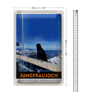 Blechschild Reise 20x30cm Jungfraujoch Schweiz Rabe Winter Natur