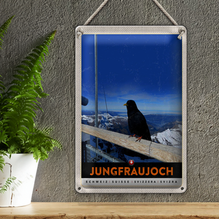 Blechschild Reise 20x30cm Jungfraujoch Schweiz Rabe Winter Natur