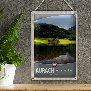 Blechschild Reise 20x30cm Aurach bei Kitzbühel Natur Wälder