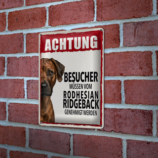 Blechschild Spruch 20x30cm Achtung Rodhesian Ridgeback
