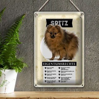 Blechschild 20x30cm Spitz Eigentumsrechte