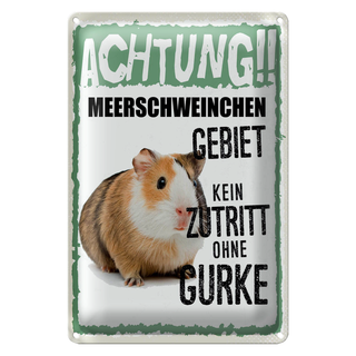 Blechschild Spruch 20x30cm Achtung Meerschweinchen kein Zutritt ohne Gurke