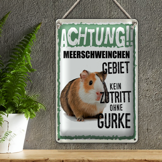 Blechschild Spruch 20x30cm Achtung Meerschweinchen kein Zutritt ohne Gurke