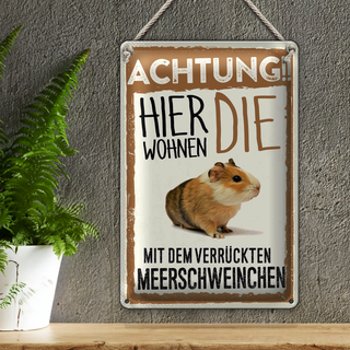Blechschild Spruch 20x30cm Achtung hier Meerschweinchen