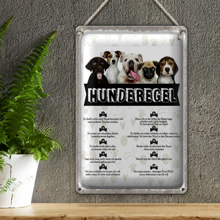 Blechschild Spruch 20x30cm Hunderegel lass mich raus