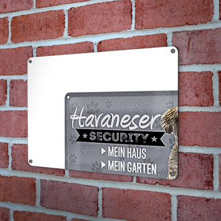Blechschild Spruch 30x20cm Havaneser Security dein Risiko