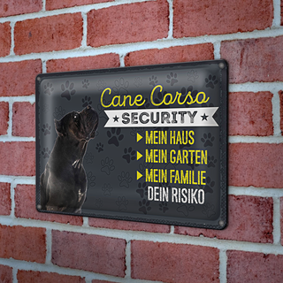 Blechschild Spruch 30x20cm Cane Corso Security dein Risiko