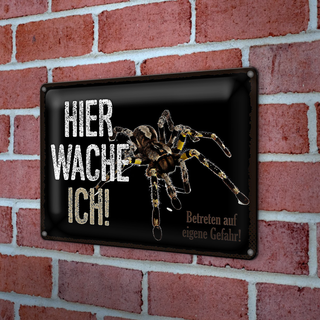 Blechschild Spruch 30x20cm Spinne hier wache ich eigene Gefahr