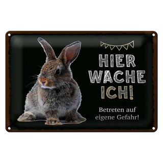 Blechschild Spruch 30x20cm Kaninchen hier wache eigene Gefahr