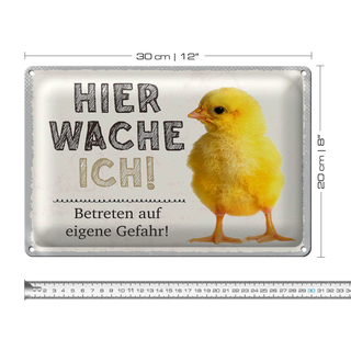 Blechschild Spruch 30x20cm Küken hier wache ich eigene Gefahr