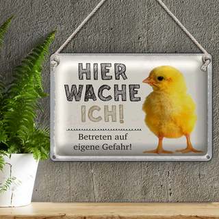 Blechschild Spruch 30x20cm Küken hier wache ich eigene Gefahr