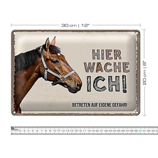 Blechschild Spruch 30x20cm Pferd links hier wache ich eigene Gefahr Schild