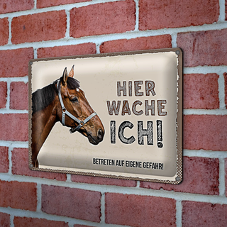 Blechschild Spruch 30x20cm Pferd links hier wache ich eigene Gefahr Schild