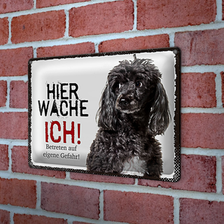 Blechschild Spruch 30x20cm Pudel hier wache ich eigene Gefahr
