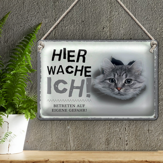 Blechschild Spruch 30x20cm Katze hier wache eigene Gefahr