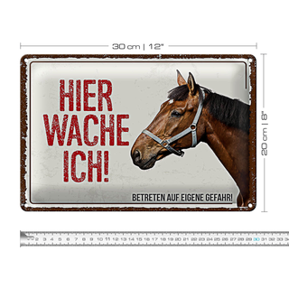 Blechschild Spruch 30x20cm Pferd hier wache ich eigene Gefahr