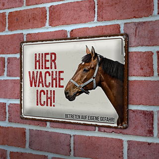 Blechschild Spruch 30x20cm Pferd hier wache ich eigene Gefahr