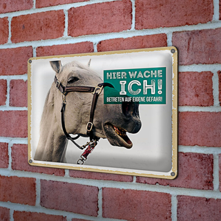 Blechschild Spruch 30x20cm Schimmel hier wache ich