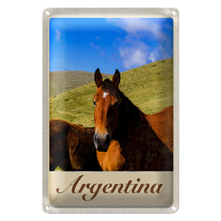 Blechschild Reise 20x30cm Argentinien Wiese Pferde Urlaub