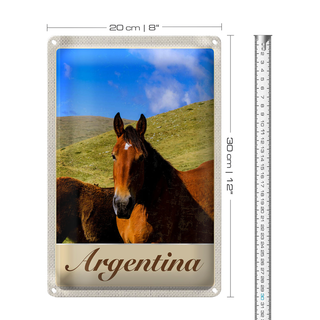 Blechschild Reise 20x30cm Argentinien Wiese Pferde Urlaub