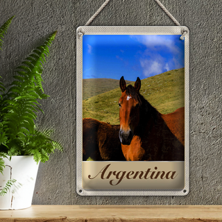 Blechschild Reise 20x30cm Argentinien Wiese Pferde Urlaub
