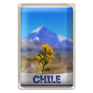 Blechschild Reise 20x30cm Chile Blume Gebirge Urlaub