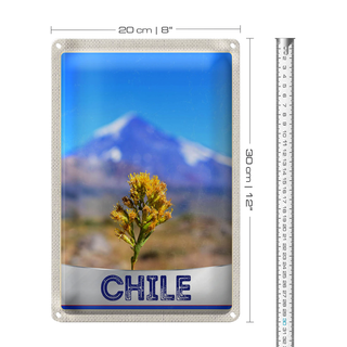 Blechschild Reise 20x30cm Chile Blume Gebirge Urlaub