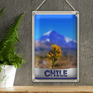 Blechschild Reise 20x30cm Chile Blume Gebirge Urlaub
