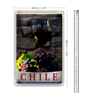 Blechschild Reise 20x30cm Chile Wein Trauben Tradion Urlaub