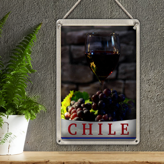 Blechschild Reise 20x30cm Chile Wein Trauben Tradion Urlaub